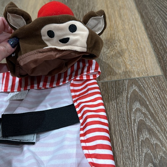 Flying Monkey Costume- Wizard of Oz - Picture 3 of 4